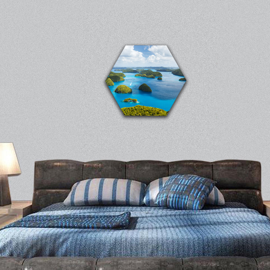 Beautiful view of Palau islands from above hexagonal canvas wall art