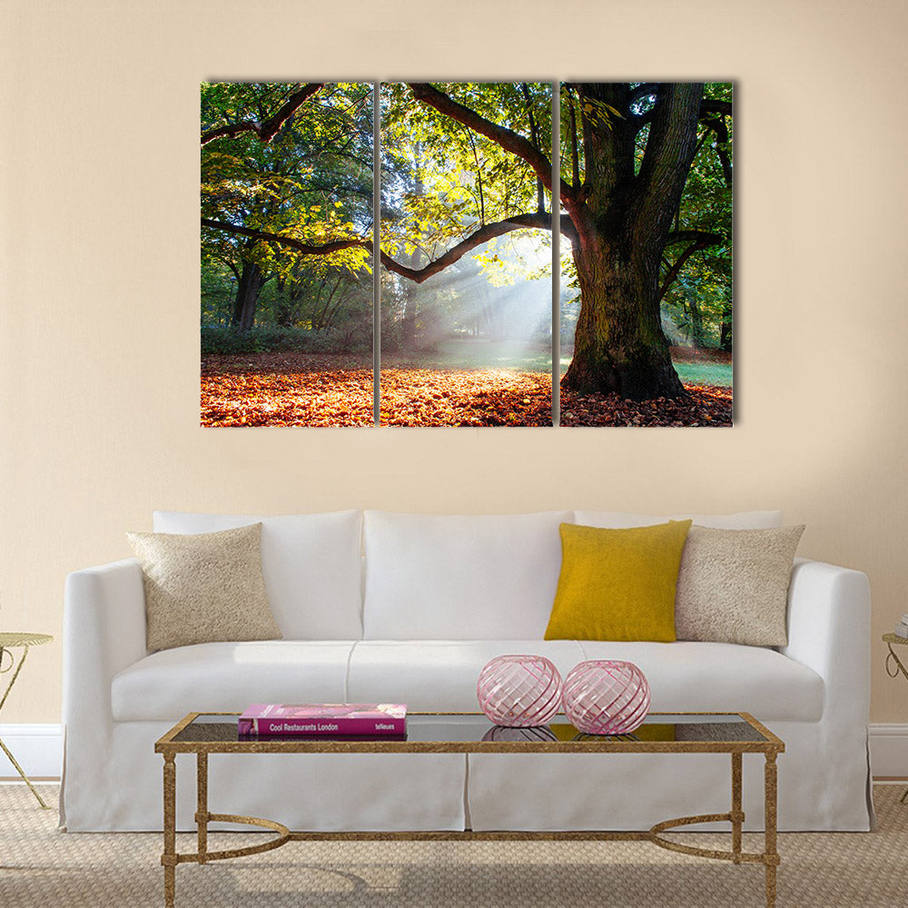 mighty oak tree multi panel canvas wall art