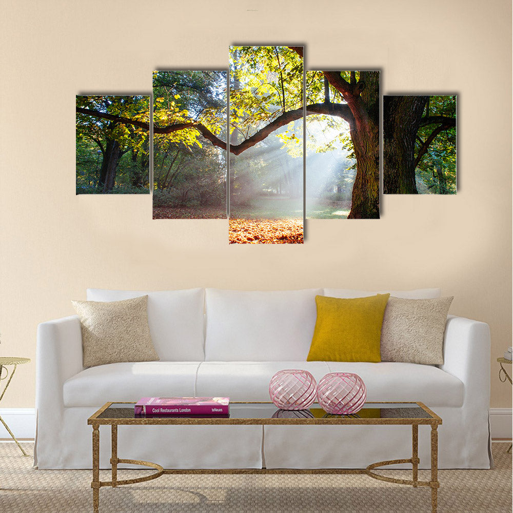 mighty oak tree multi panel canvas wall art