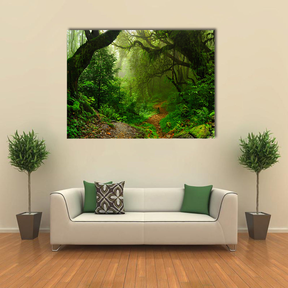 The Natural Beauty Of The Forest Of The Nepal, Multi Panel Canvas Wall Art