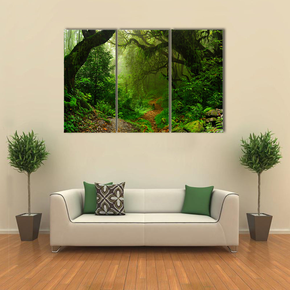 The Natural Beauty Of The Forest Of The Nepal, Multi Panel Canvas Wall Art