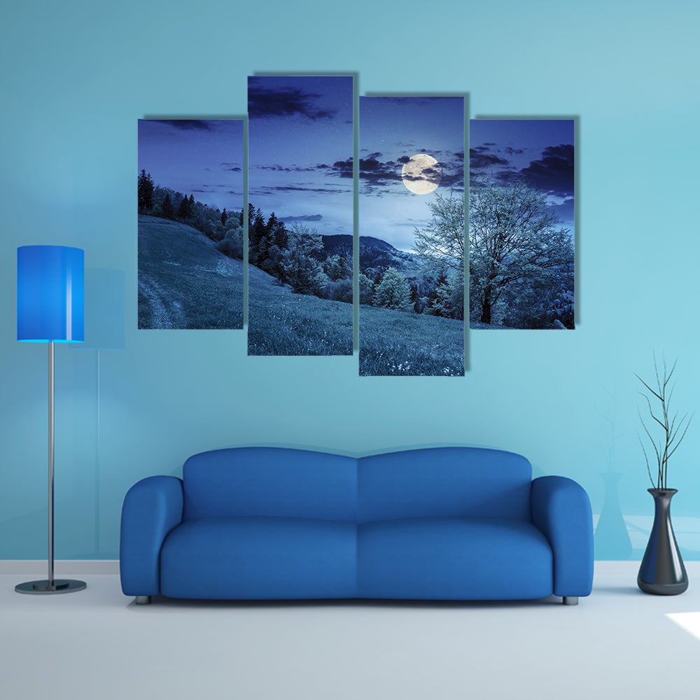 A path through the field with green grass in mountains near coniferous Forest Multi Panel Canvas Wall Art