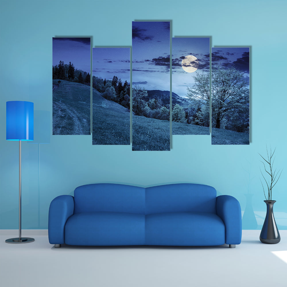 A path through the field with green grass in mountains near coniferous Forest Multi Panel Canvas Wall Art