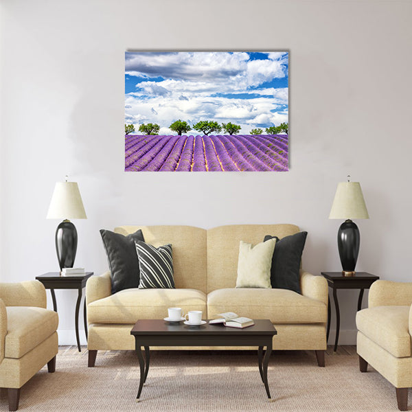 View of lavender field, France, Europe Multi Panel Canvas Wall Art