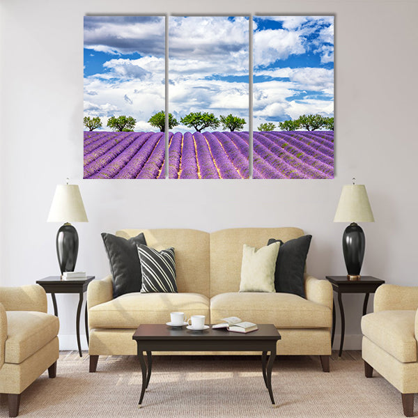 View of lavender field, France, Europe Multi Panel Canvas Wall Art