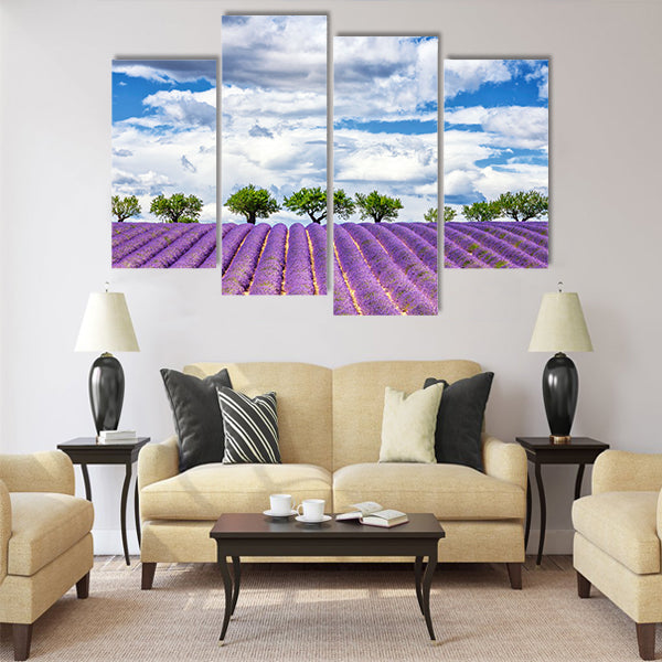 View of lavender field, France, Europe Multi Panel Canvas Wall Art