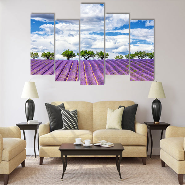 View of lavender field, France, Europe Multi Panel Canvas Wall Art