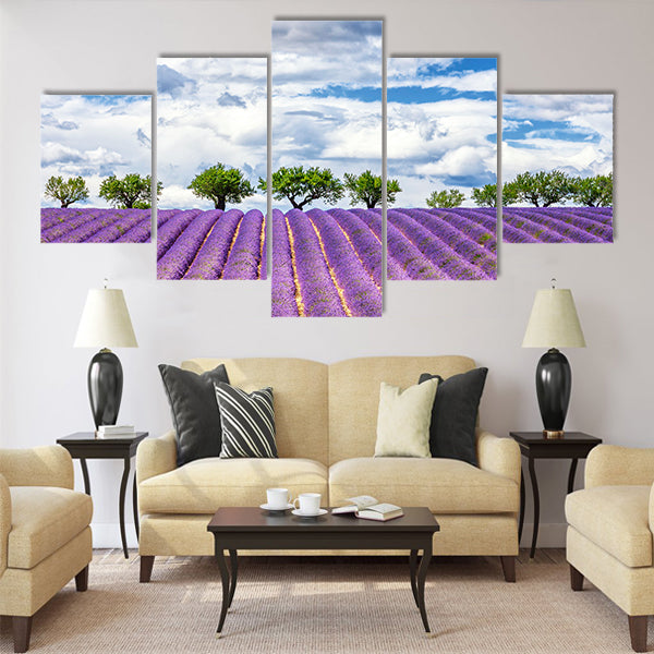 View of lavender field, France, Europe Multi Panel Canvas Wall Art