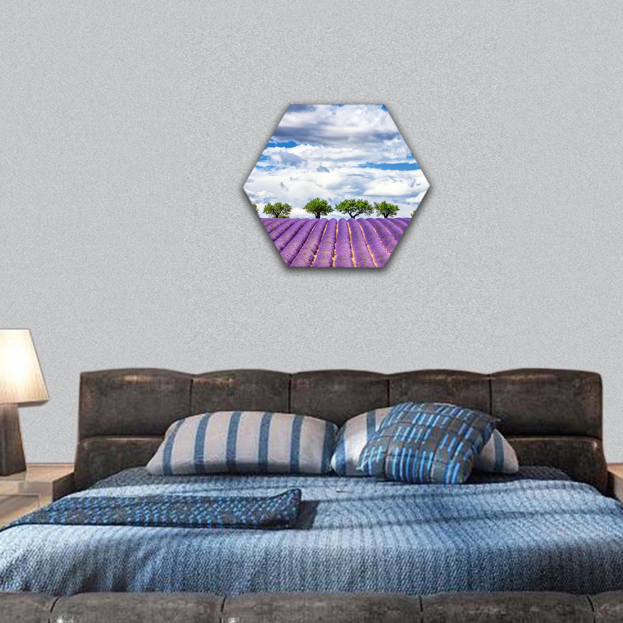 View of lavender field, France, Europe hexagonal canvas wall art