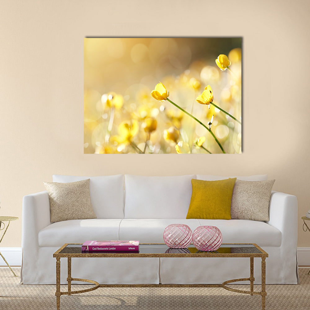 Yellow flowers of a buttercup on a meadow lit with the sun Multi Panel Canvas Wall Art