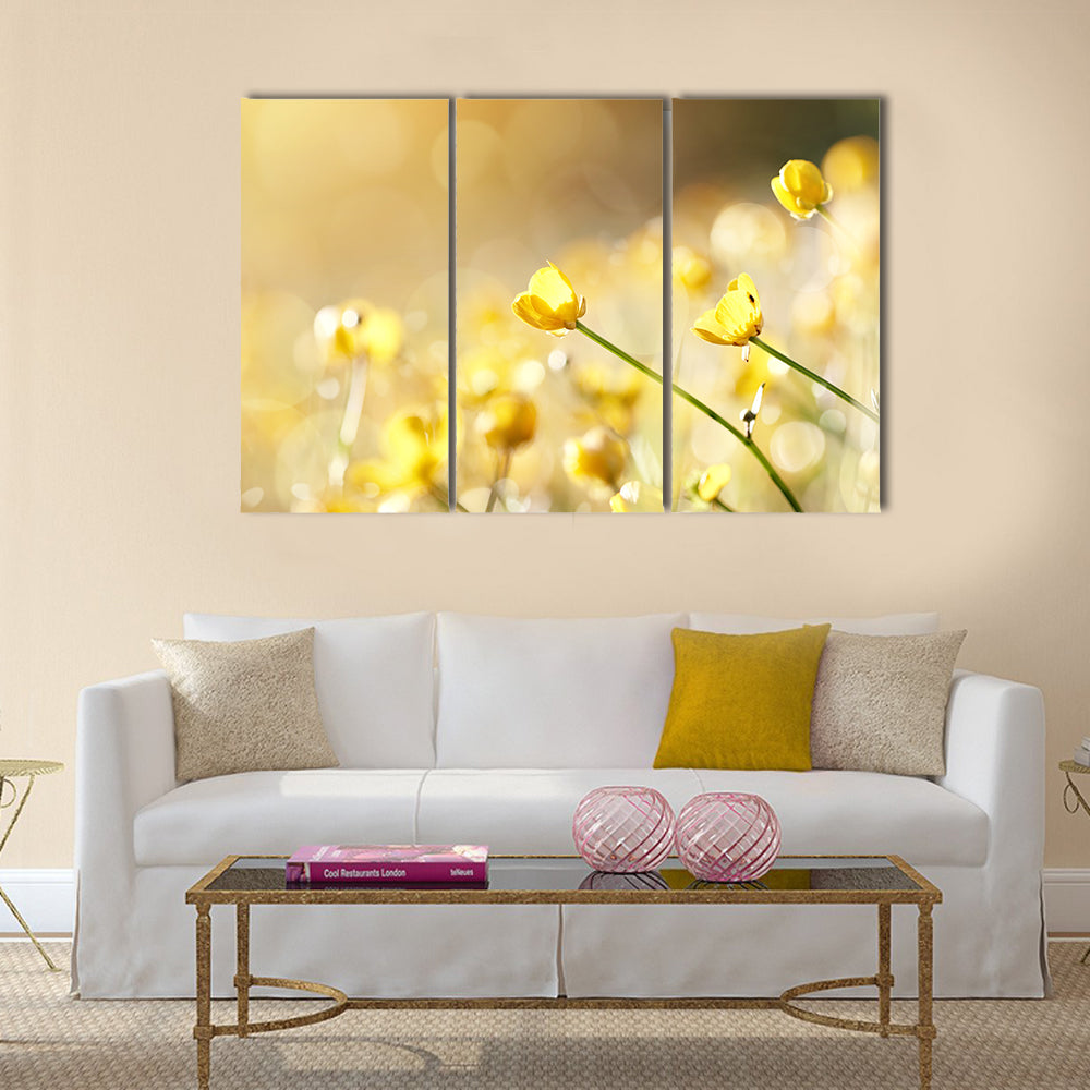 Yellow flowers of a buttercup on a meadow lit with the sun Multi Panel Canvas Wall Art