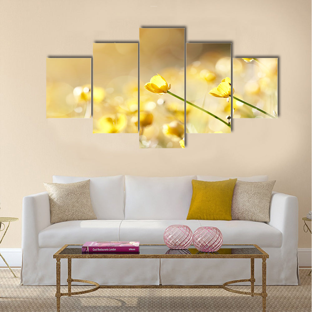 Yellow flowers of a buttercup on a meadow lit with the sun Multi Panel Canvas Wall Art