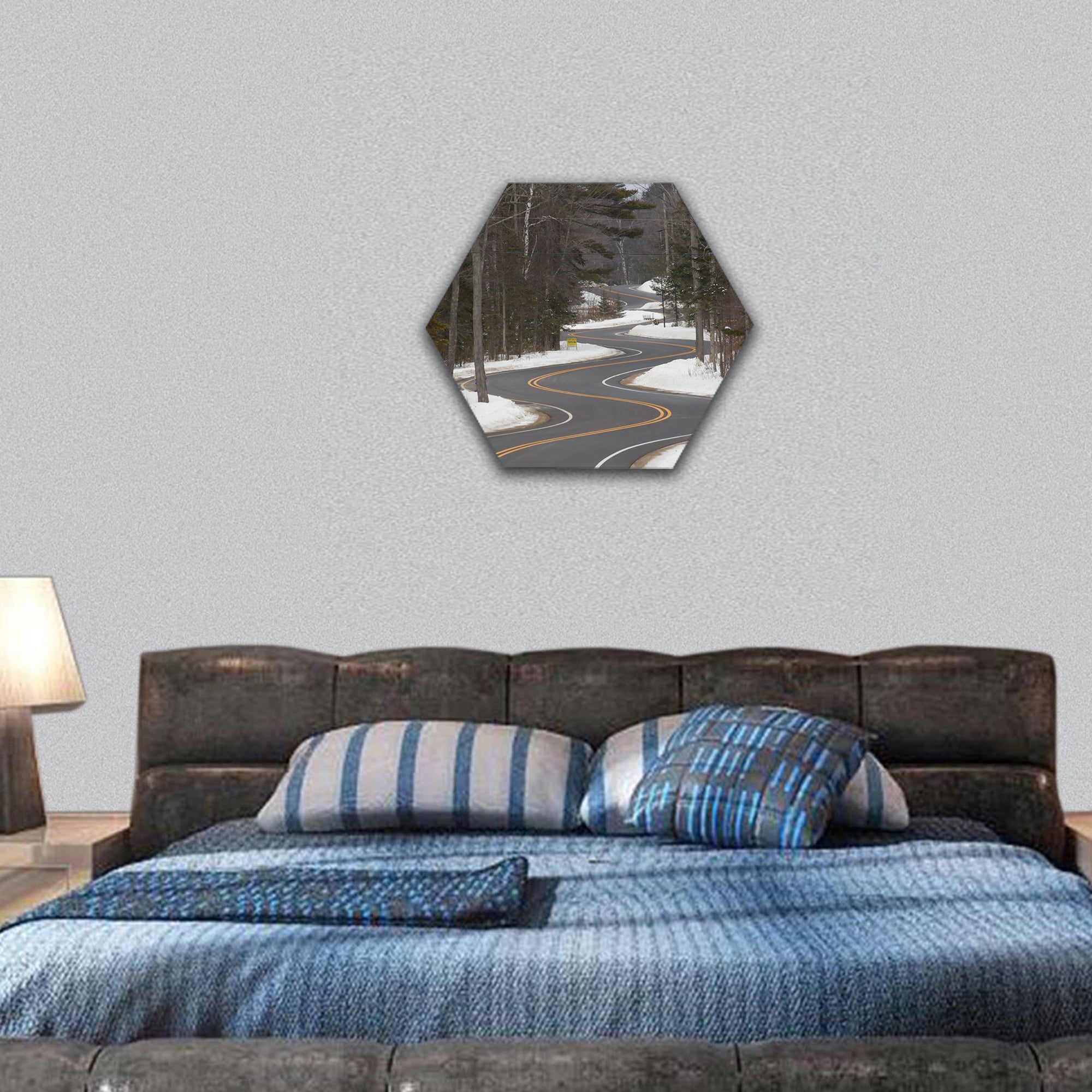 Winding Road section in Winter hexagonal canvas wall art