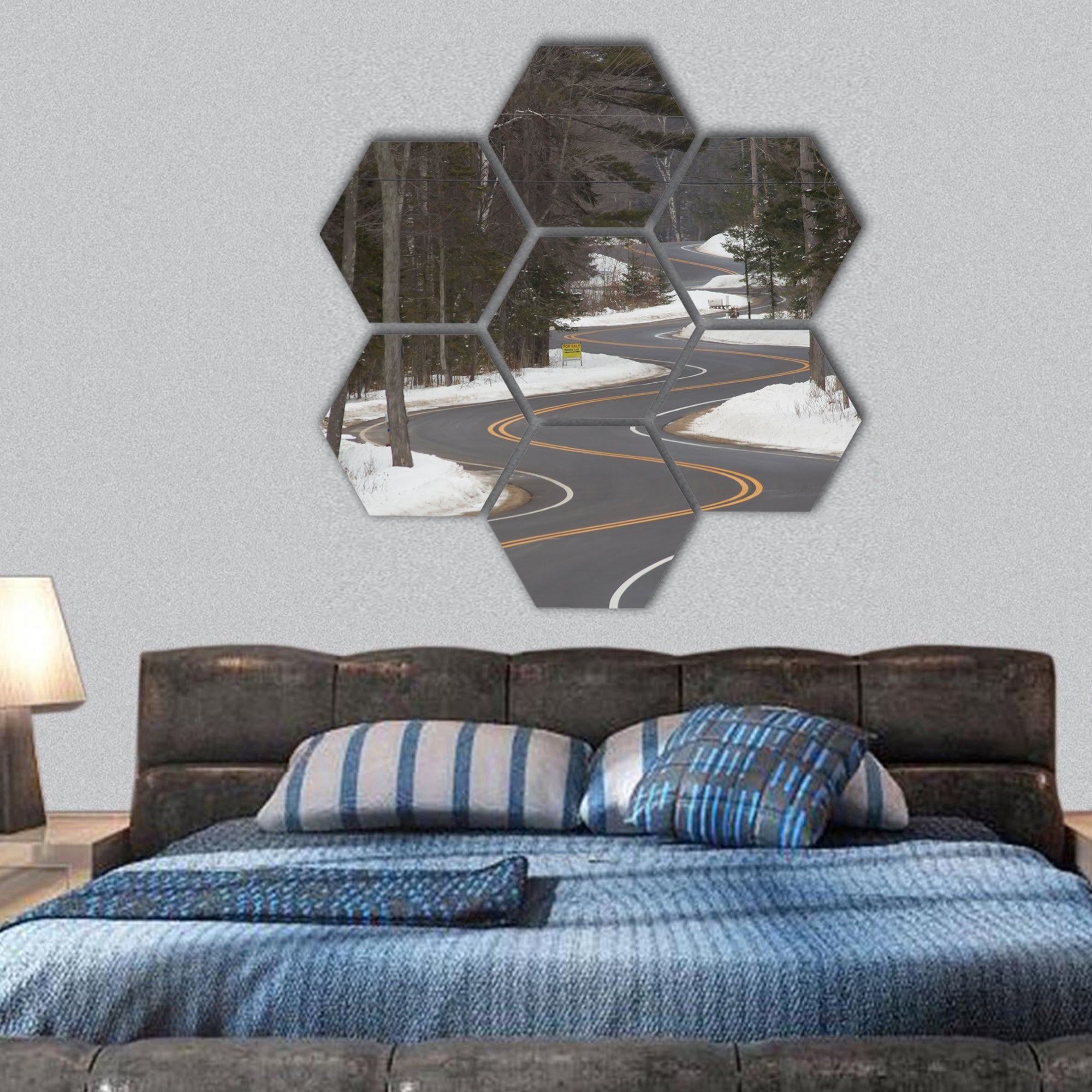 Winding Road section in Winter hexagonal canvas wall art