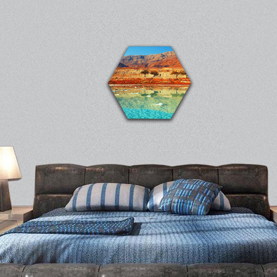 Dead sea salt shore hexagonal canvas wall art