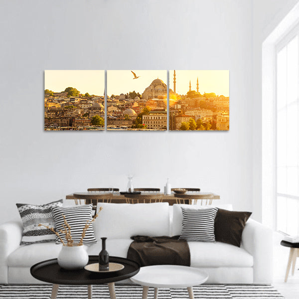 Tourist boat floats on the Golden Horn in Istanbul at sunset, Turkey panoramic canvas wall art