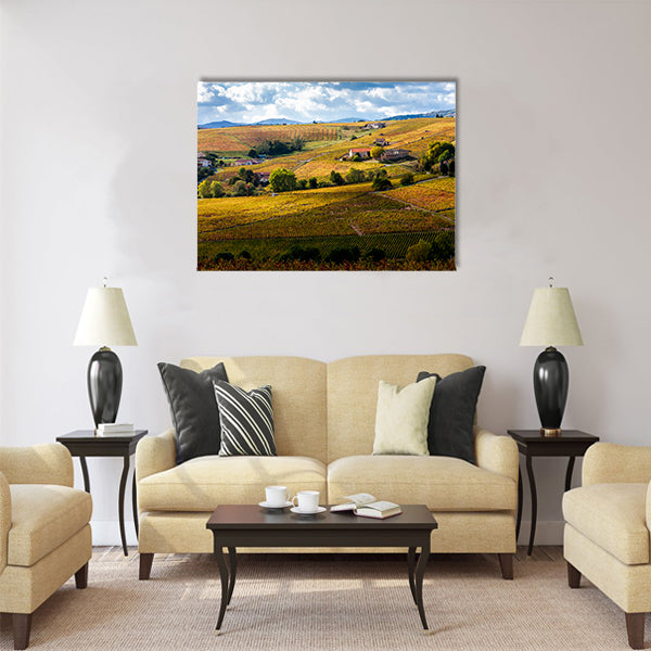 vineyards of Beaujolais, Rhone-Alpes, France Multi Panel Canvas Wall Art