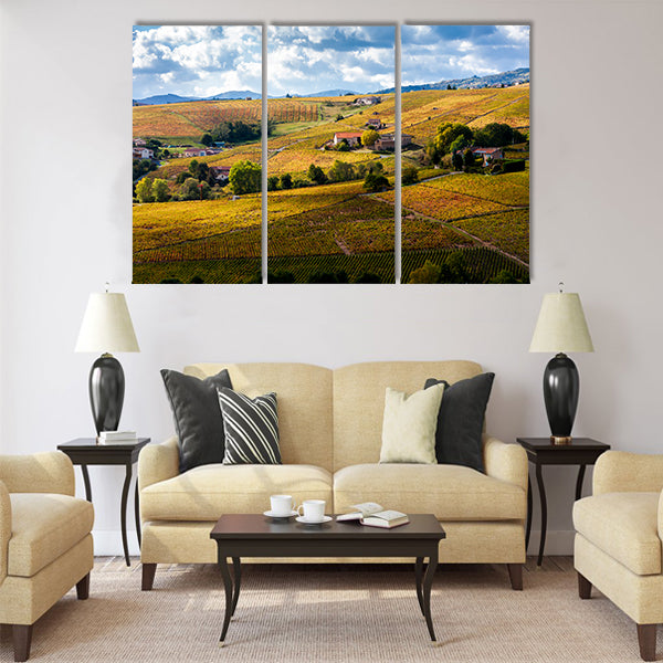 vineyards of Beaujolais, Rhone-Alpes, France Multi Panel Canvas Wall Art
