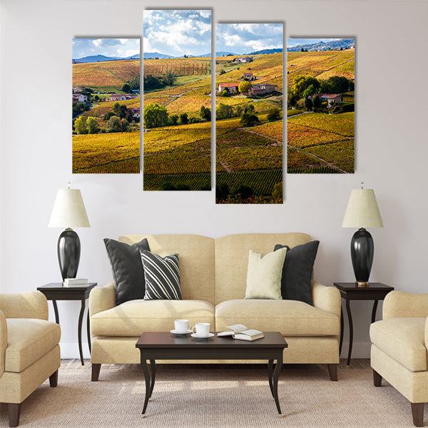 vineyards of Beaujolais, Rhone-Alpes, France Multi Panel Canvas Wall Art