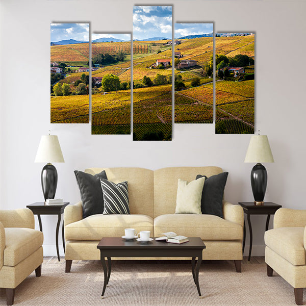 vineyards of Beaujolais, Rhone-Alpes, France Multi Panel Canvas Wall Art