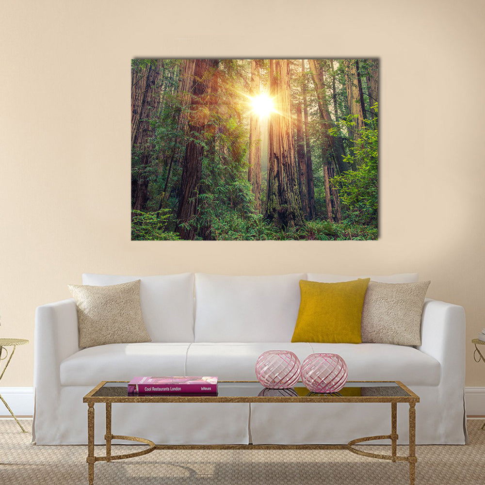 Sunny Redwood Forest in Northern California multi panel canvas wall art