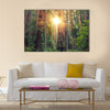 Sunny Redwood Forest in Northern California multi panel canvas wall art