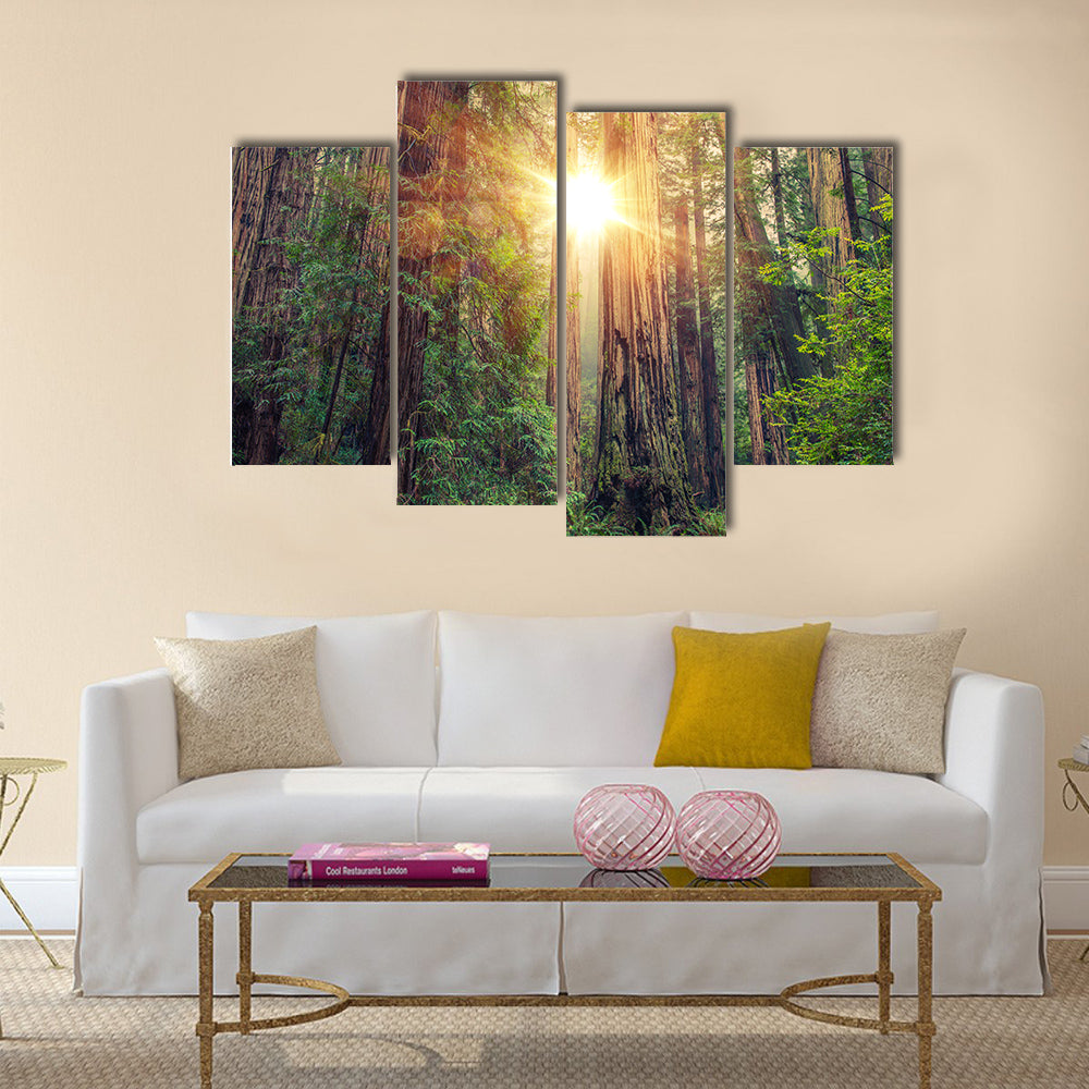 Sunny Redwood Forest in Northern California multi panel canvas wall art