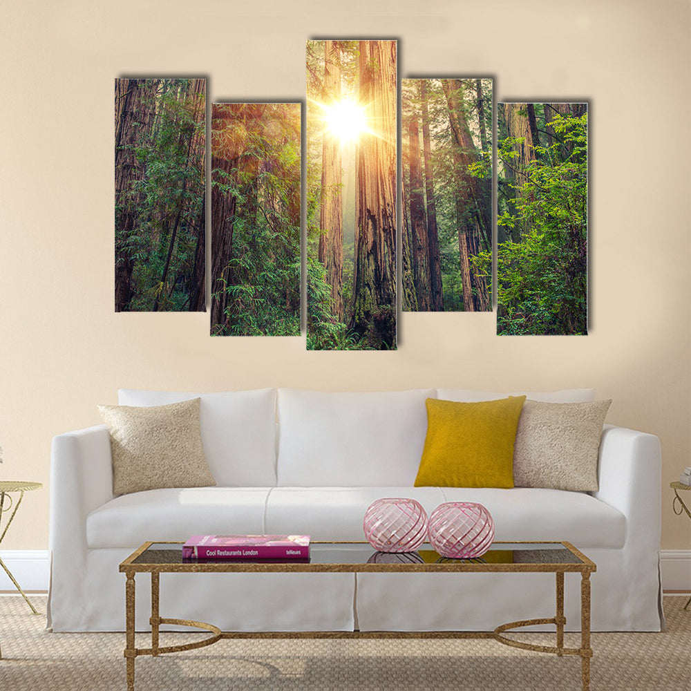 Sunny Redwood Forest in Northern California multi panel canvas wall art