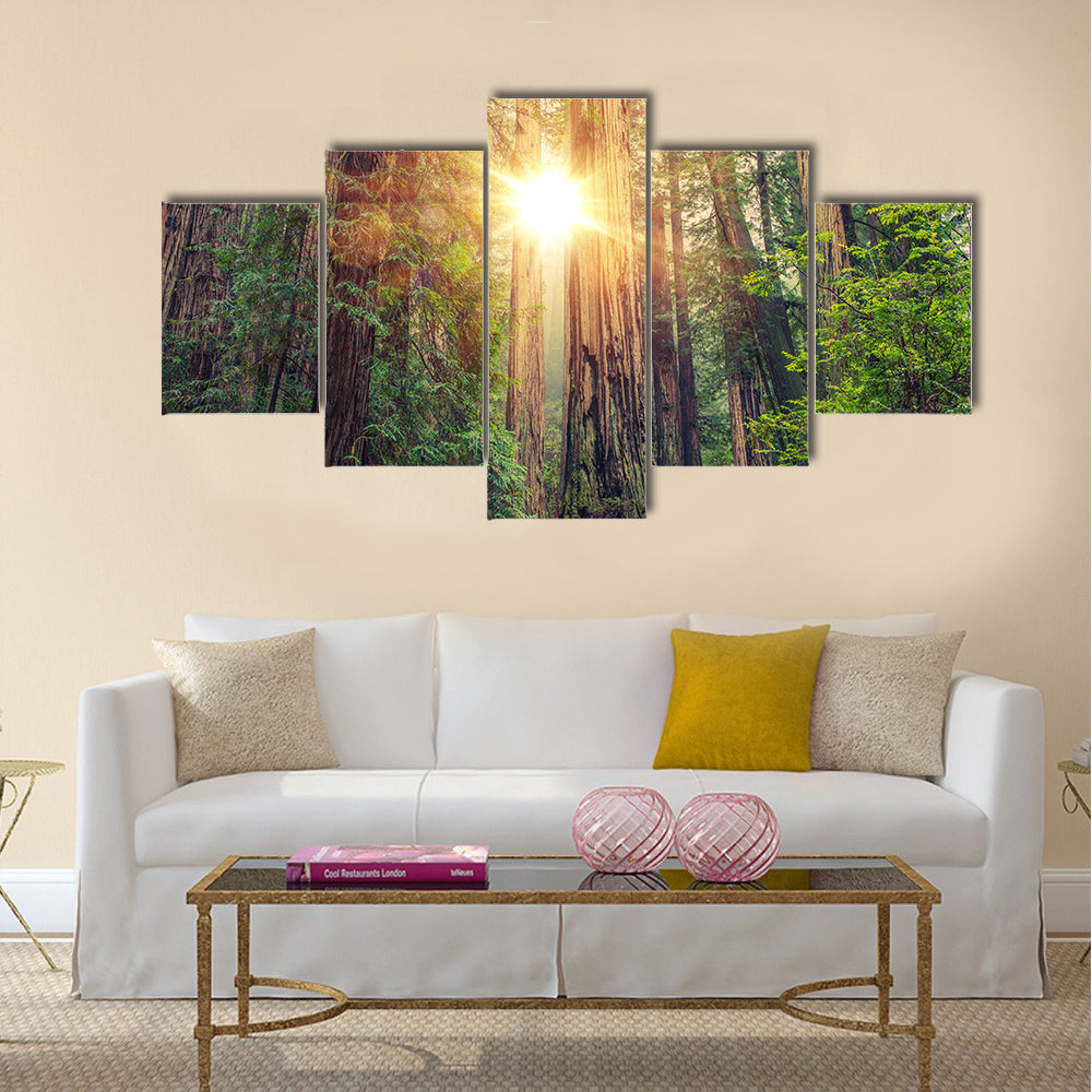 Sunny Redwood Forest in Northern California multi panel canvas wall art