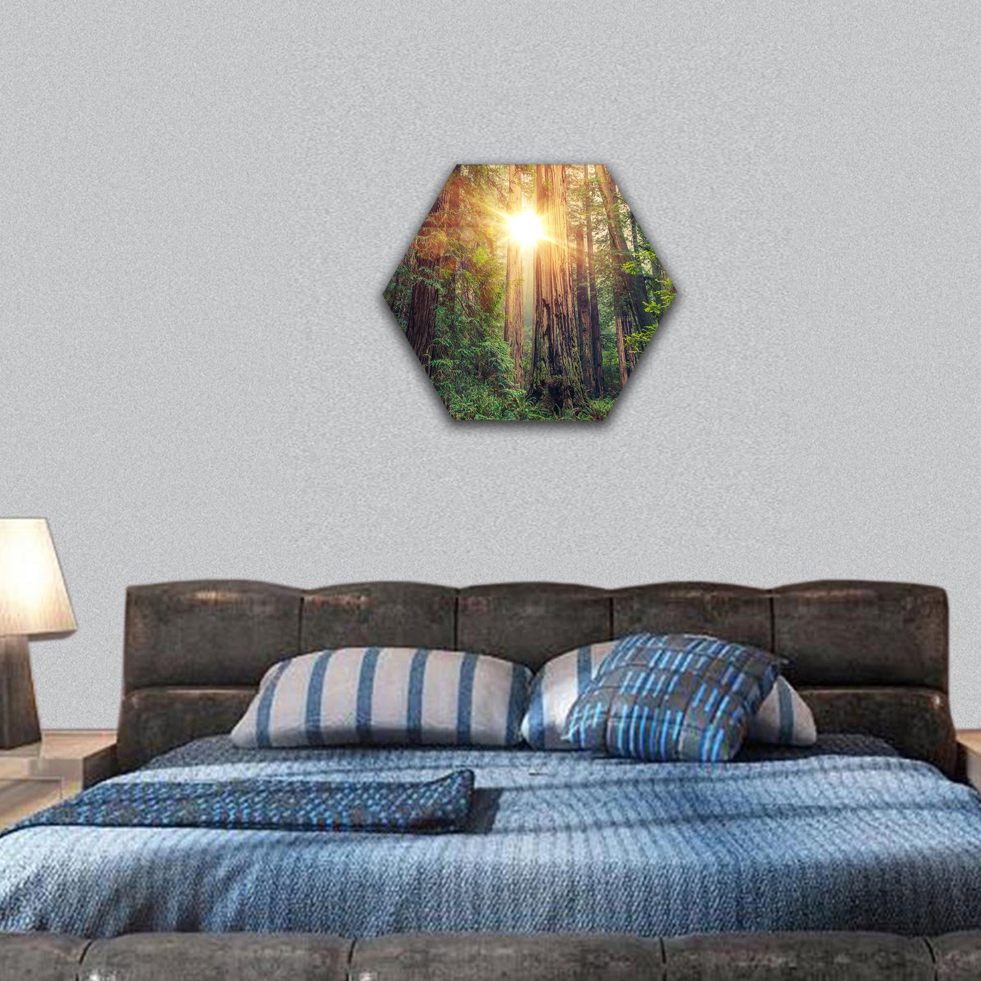 Sunny Redwood Forest in Northern California hexagonal canvas wall art