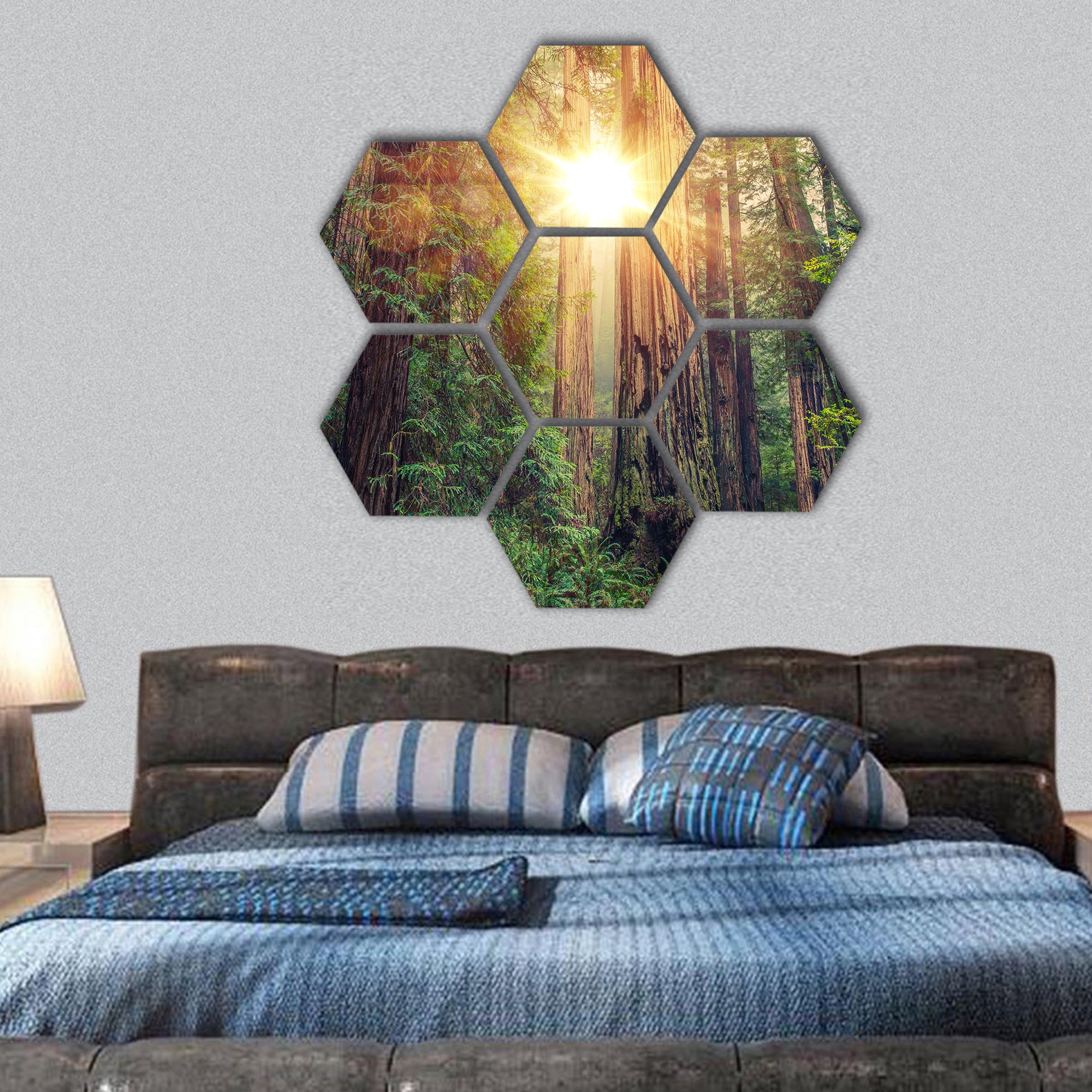 Sunny Redwood Forest in Northern California hexagonal canvas wall art