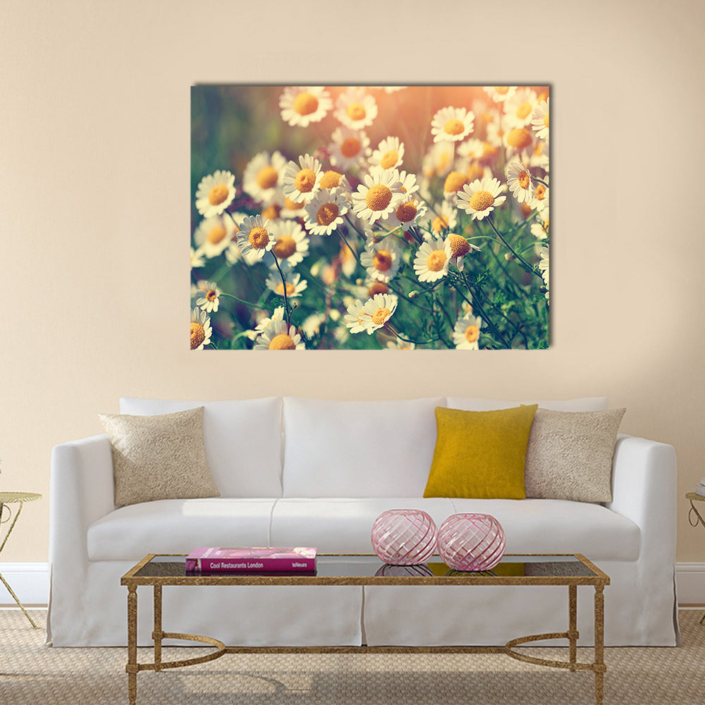 Vintage wilde chamomile flowers Multi Panel Canvas Wall Art