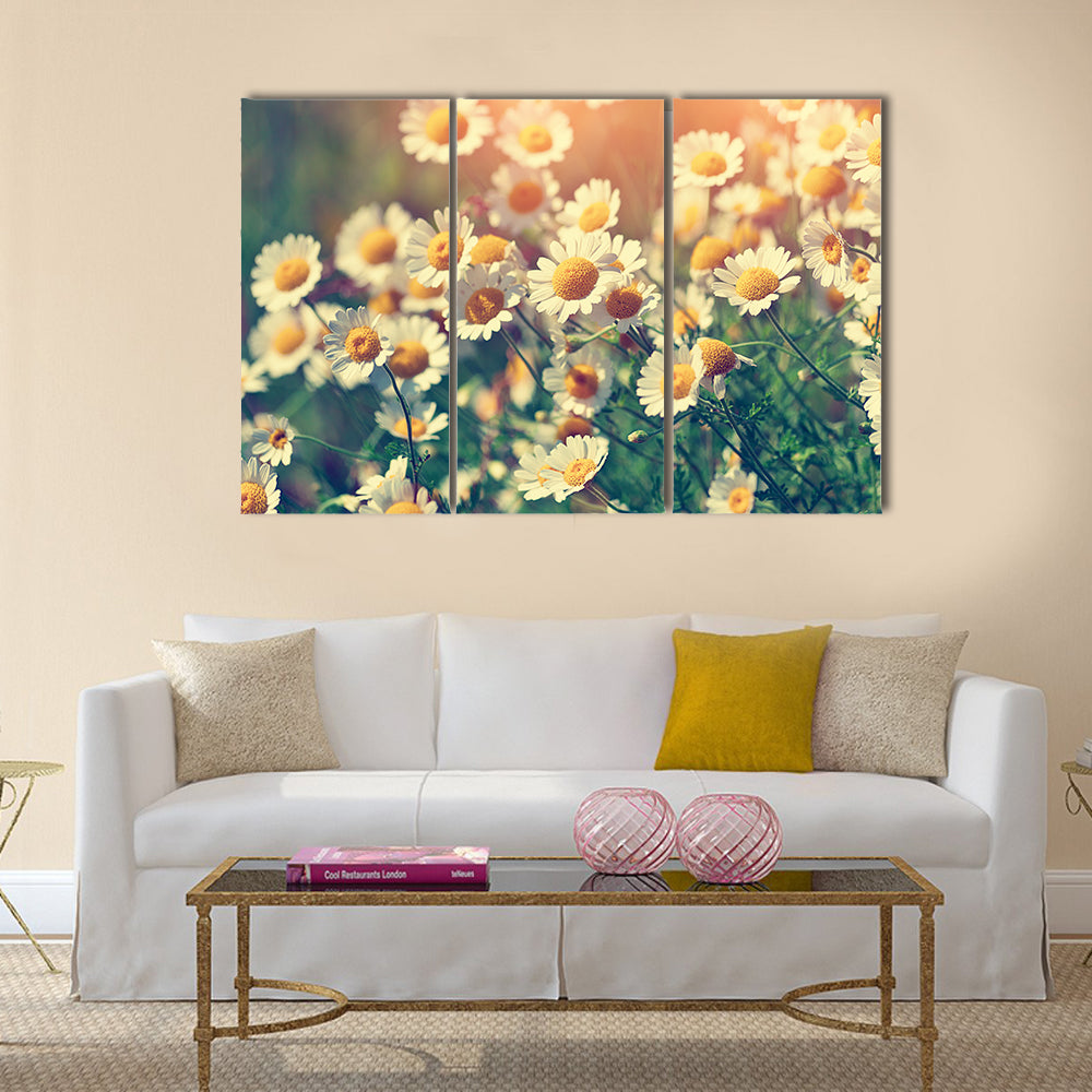 Vintage wilde chamomile flowers Multi Panel Canvas Wall Art