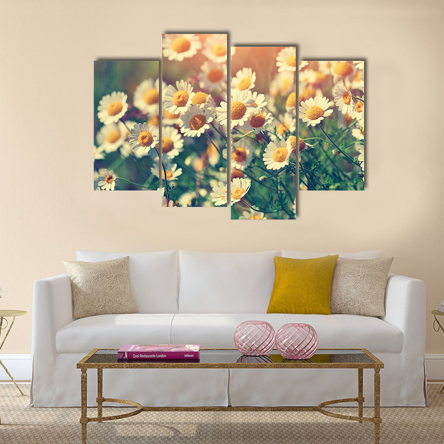 Vintage wilde chamomile flowers Multi Panel Canvas Wall Art