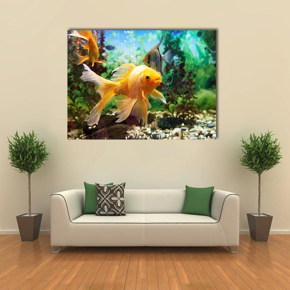 Tropical Colorful Fishes Swimming in Aquarium with Plants Multi Panel Canvas Wall Art