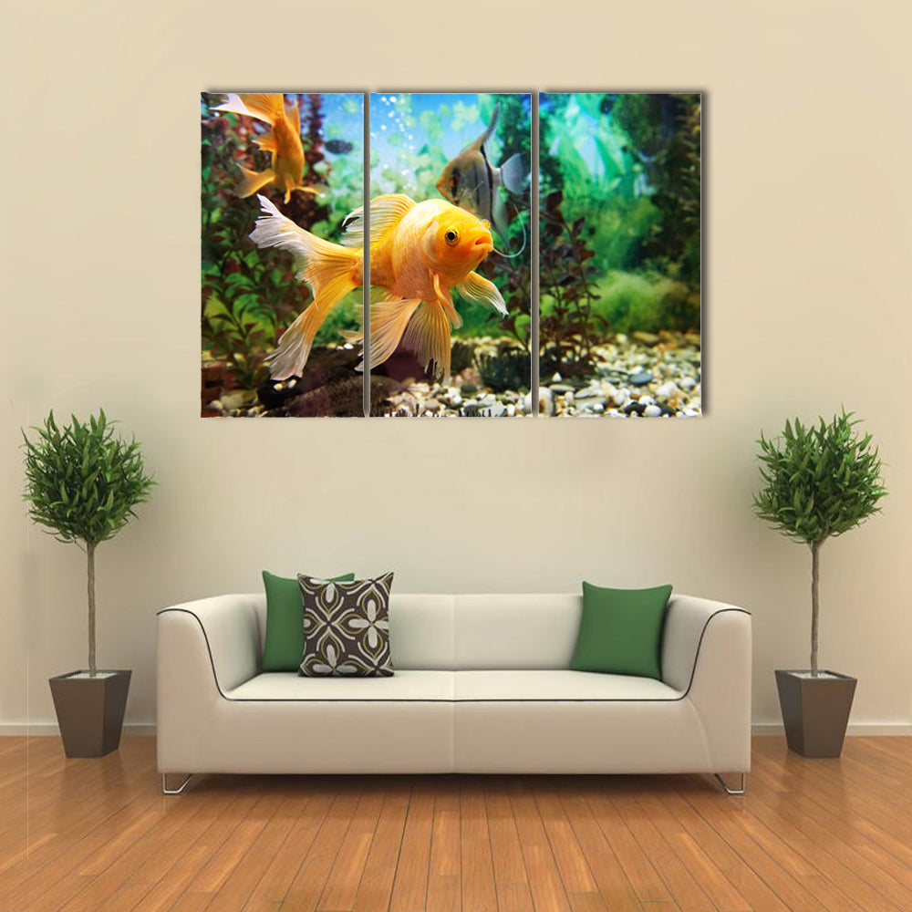 Tropical Colorful Fishes Swimming in Aquarium with Plants Multi Panel Canvas Wall Art