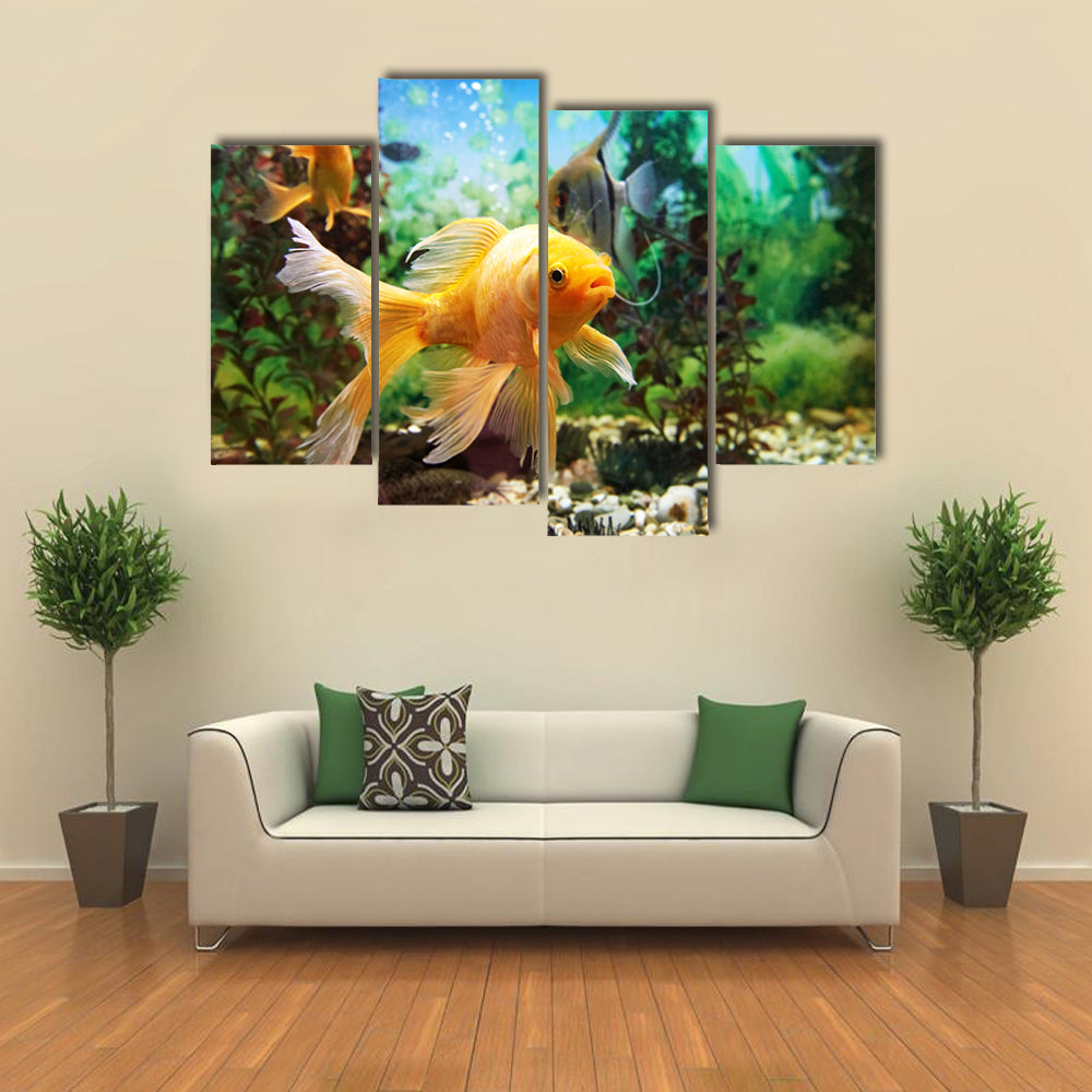 Tropical Colorful Fishes Swimming in Aquarium with Plants Multi Panel Canvas Wall Art