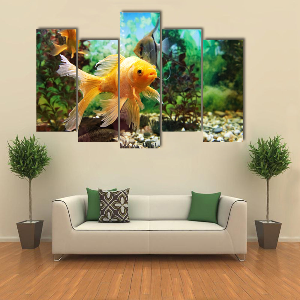 Tropical Colorful Fishes Swimming in Aquarium with Plants Multi Panel Canvas Wall Art
