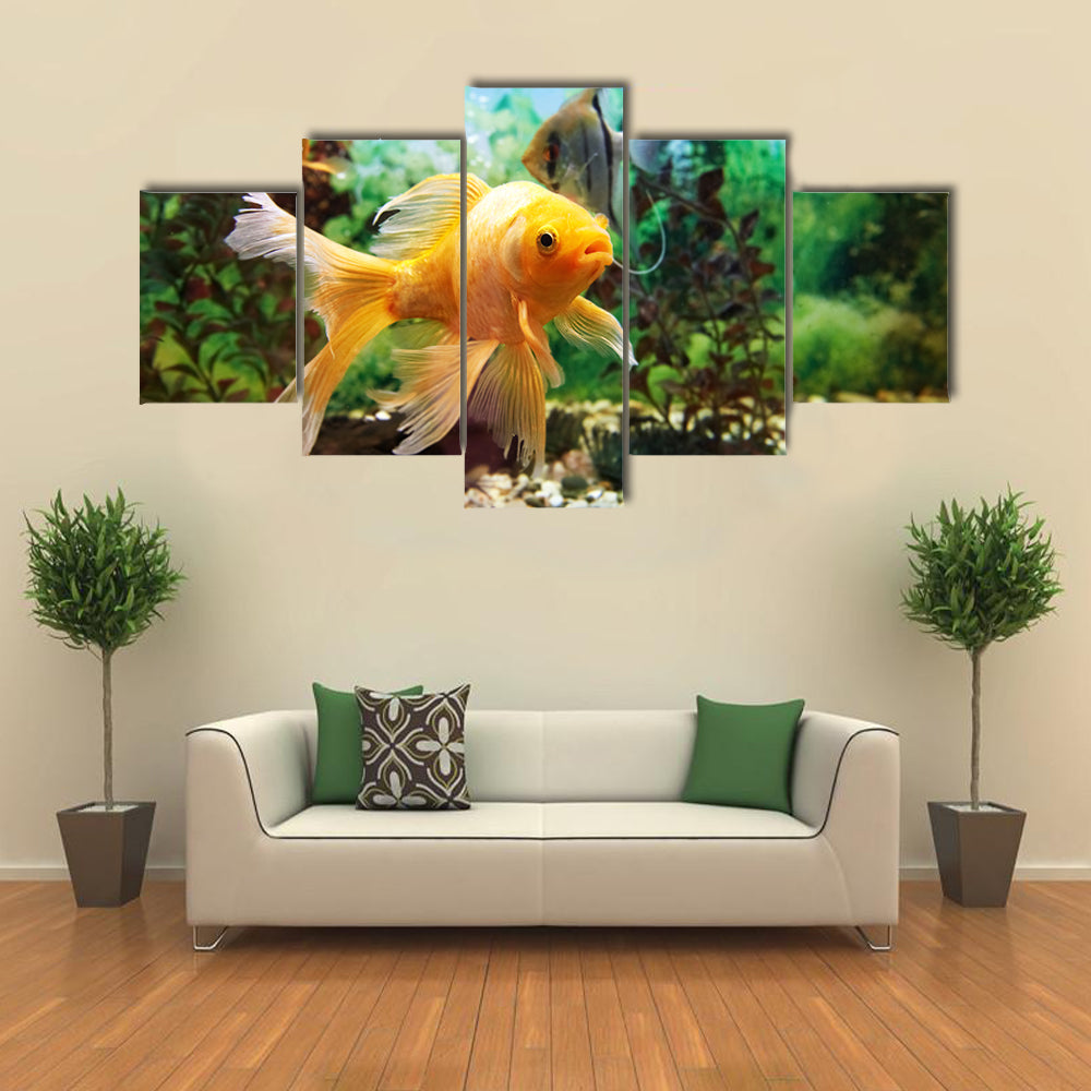 Tropical Colorful Fishes Swimming in Aquarium with Plants Multi Panel Canvas Wall Art