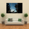 Canvas of a Wolf Dog at Dusk. Multi Panel Canvas Wall Art