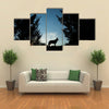 Canvas of a Wolf Dog at Dusk. Multi Panel Canvas Wall Art