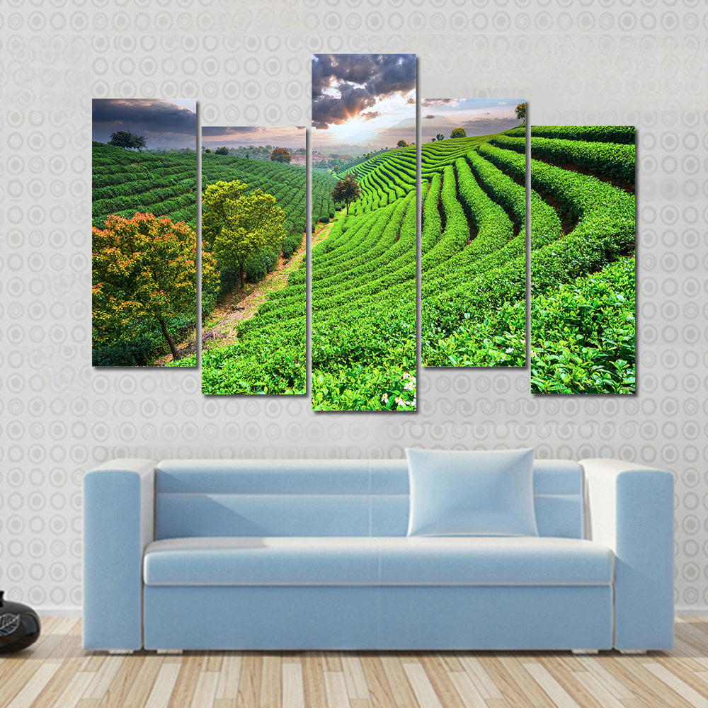 Tea Plantations under sky during sunset Multi panel canvas wall art
