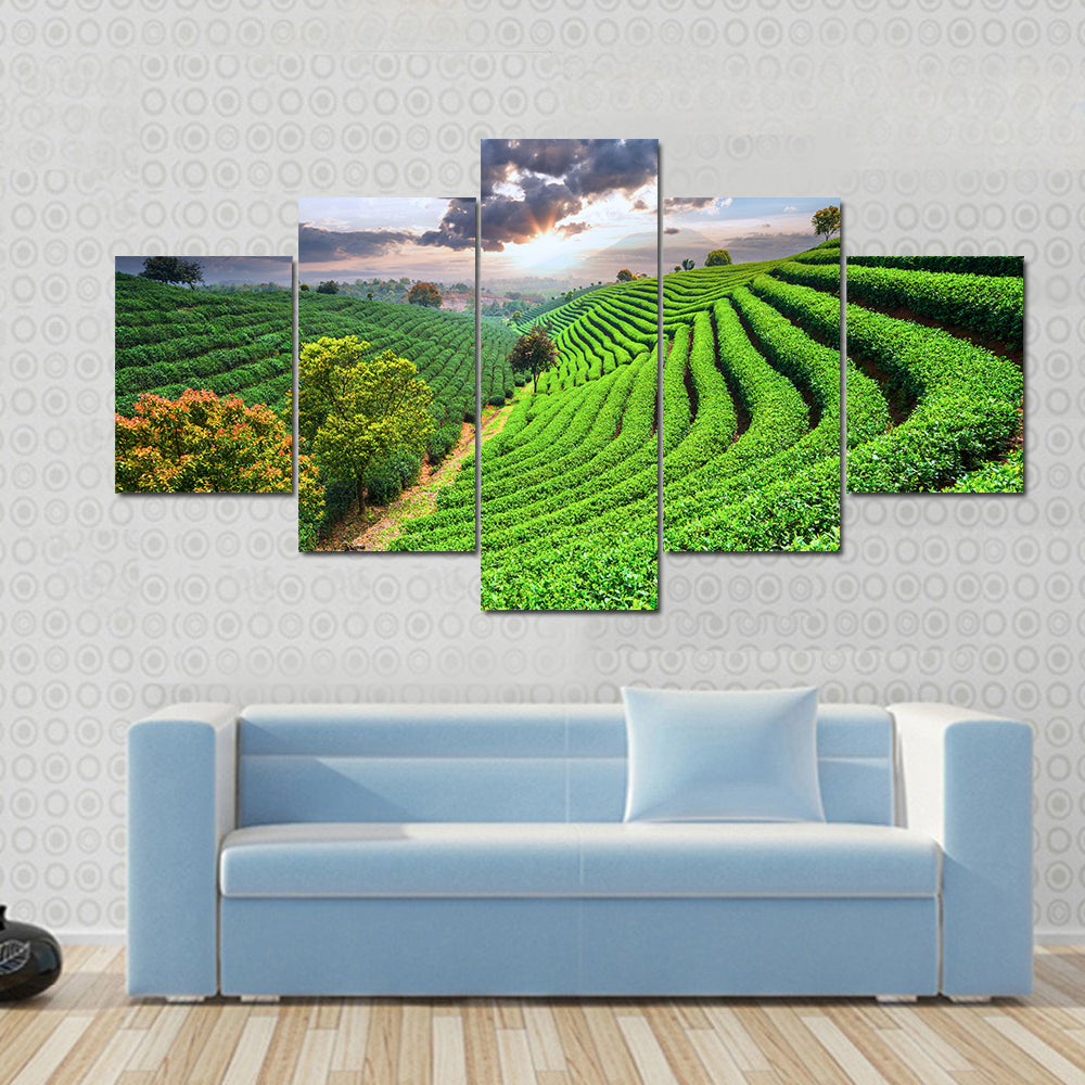 Tea Plantations under sky during sunset Multi panel canvas wall art