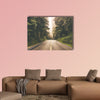 Foggy Straight Redwood Highway in United States multi panel canvas wall art