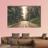 Foggy Straight Redwood Highway in United States multi panel canvas wall art