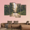 Foggy Straight Redwood Highway in United States multi panel canvas wall art