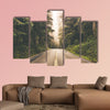 Foggy Straight Redwood Highway in United States multi panel canvas wall art