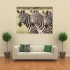 Three Zebras in a Row in Masai Mara Kenya Multi Panel Canvas Wall Art