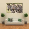 Three Zebras in a Row in Masai Mara Kenya Multi Panel Canvas Wall Art