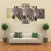 Three Zebras in a Row in Masai Mara Kenya Multi Panel Canvas Wall Art